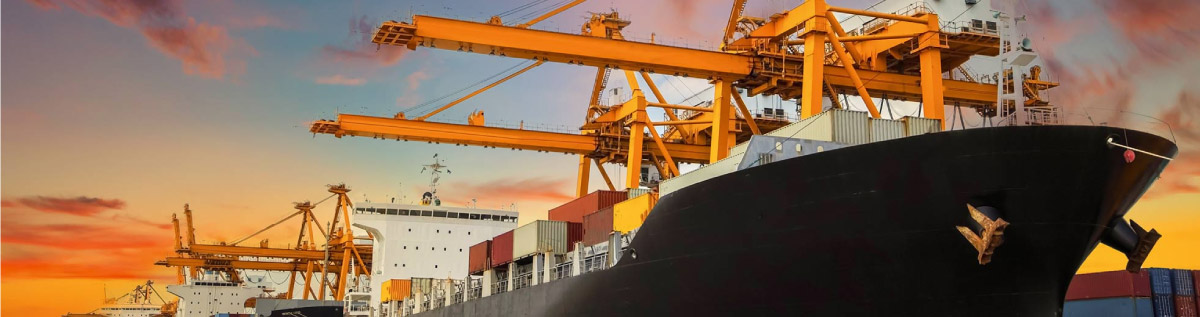 logistics with tuhan consulting